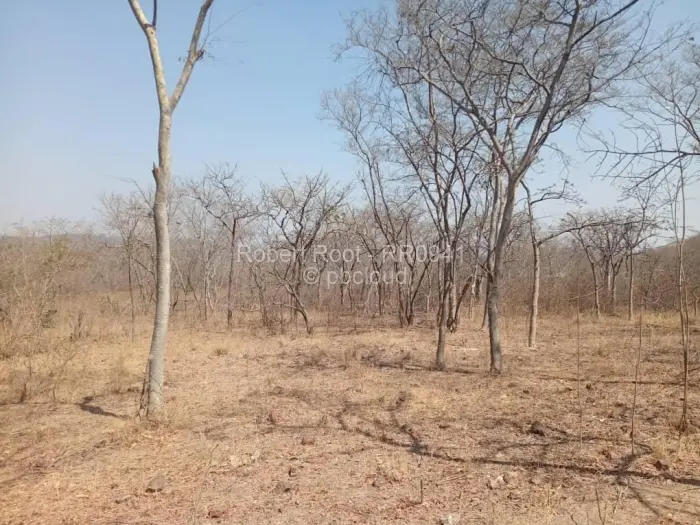Residential Stand for Sale in Kwekwe, Kwekwe