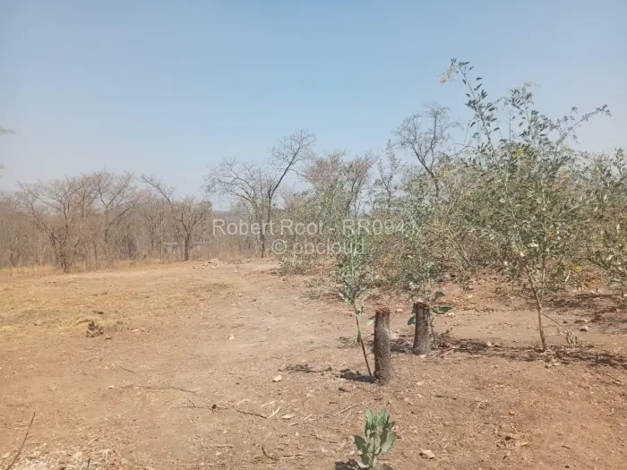 Residential Stand for Sale in Kwekwe, Kwekwe