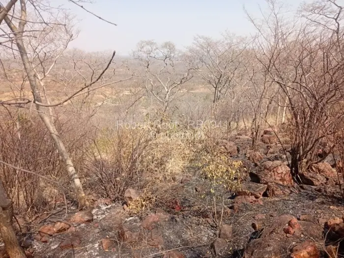 Residential Stand for Sale in Kwekwe, Kwekwe