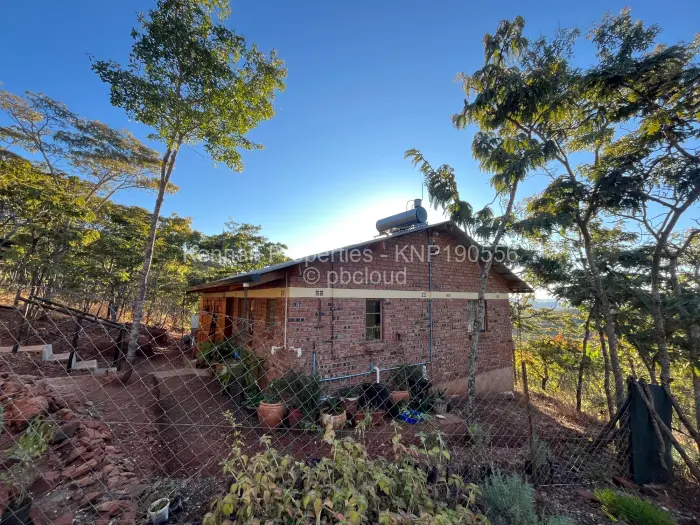 Farm/Plot for Sale in Cromlet, Arcturus