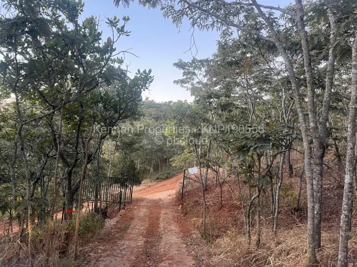 Farm/Plot for Sale in Cromlet, Arcturus