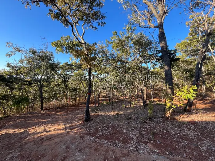 Farm/Plot for Sale in Cromlet, Arcturus