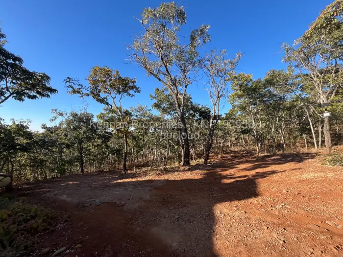 Farm/Plot for Sale in Cromlet, Arcturus