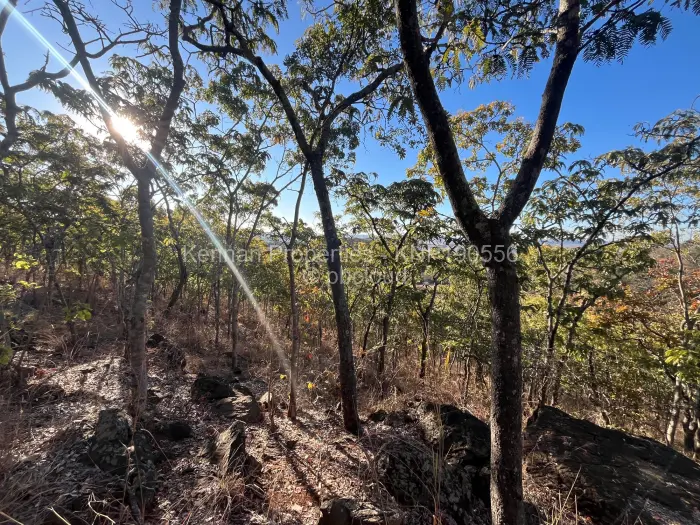 Farm/Plot for Sale in Cromlet, Arcturus