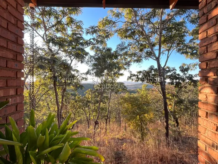 Farm/Plot for Sale in Cromlet, Arcturus