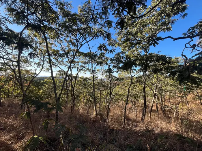 Farm/Plot for Sale in Cromlet, Arcturus