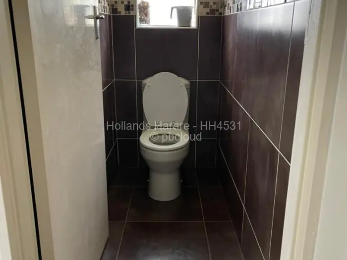 5 Bedroom House to Rent in Alexandra Park