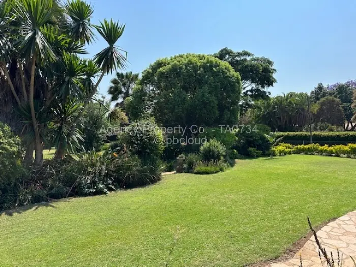 Commercial Property to Rent in Mount Pleasant