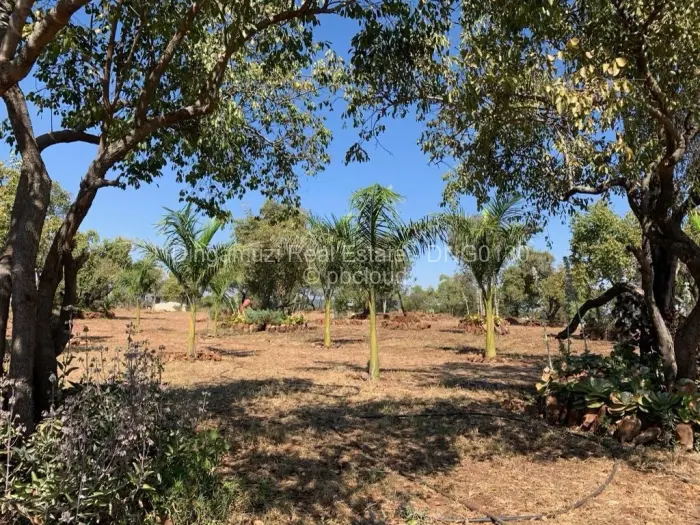 Farm/Plot for Sale in Gweru East, Gweru