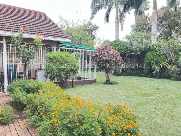Commercial Property to Rent in Belvedere