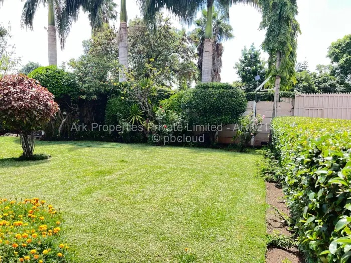Commercial Property to Rent in Belvedere