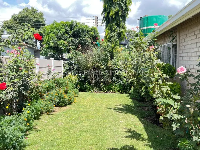 Commercial Property to Rent in Belvedere