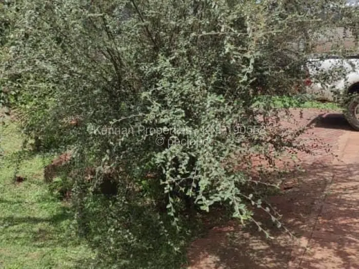 3 Bedroom House for Sale in Greendale, Harare