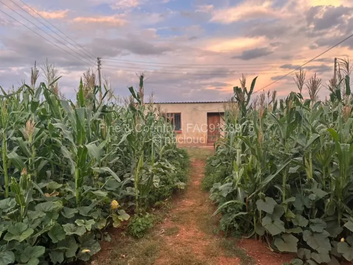 3 Bedroom House for Sale in Norton, Norton