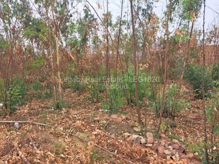 Land for Sale in Tynwald, Harare