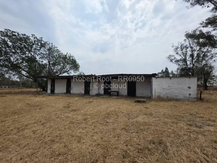 Residential Stand for Sale in Burnside, Bulawayo