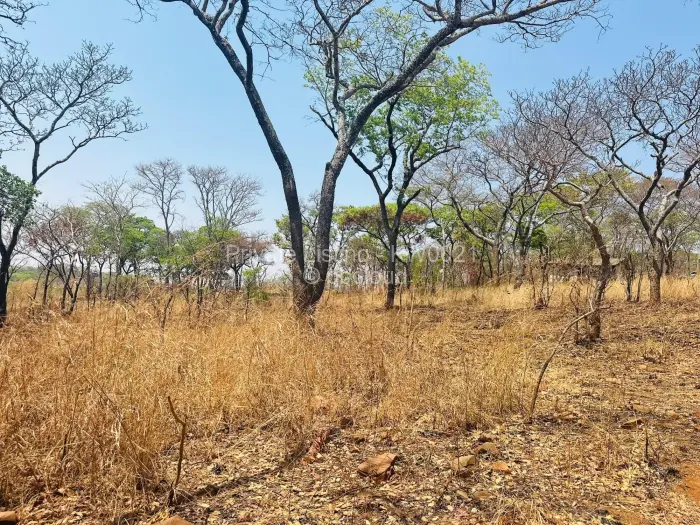 Stand for Sale in Carrick Creagh Estate, Harare