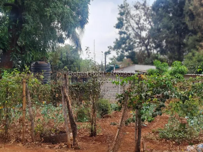 4 Bedroom House for Sale in Borrowdale, Harare