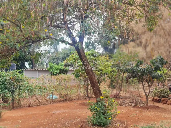 4 Bedroom House for Sale in Borrowdale, Harare