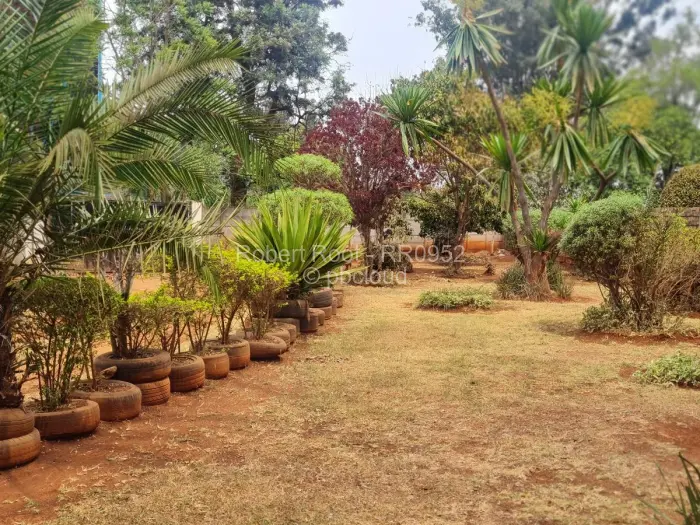 4 Bedroom House for Sale in Borrowdale, Harare