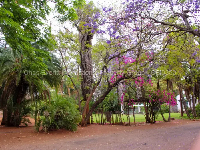 Warehouse/Industrial to Rent in Suburbs, Bulawayo