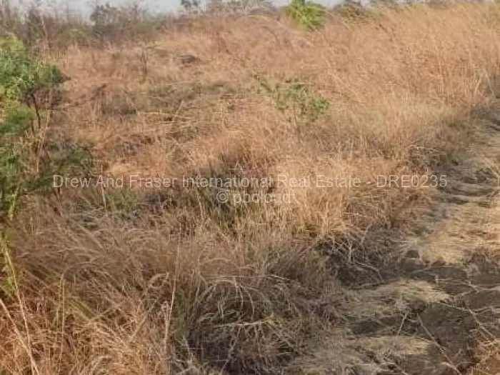 Commercial Stand for Sale in Ngezi, Ngezi