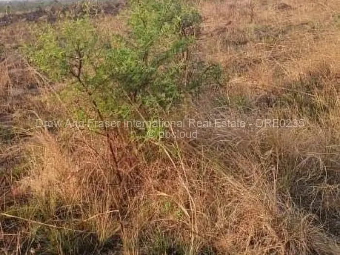 Commercial Stand for Sale in Ngezi, Ngezi