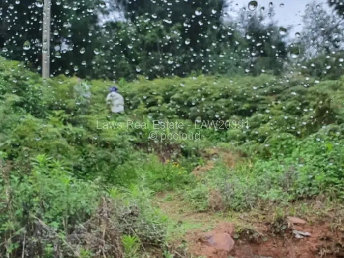 Residential Stand for Sale in Chimanimani, Chimanimani