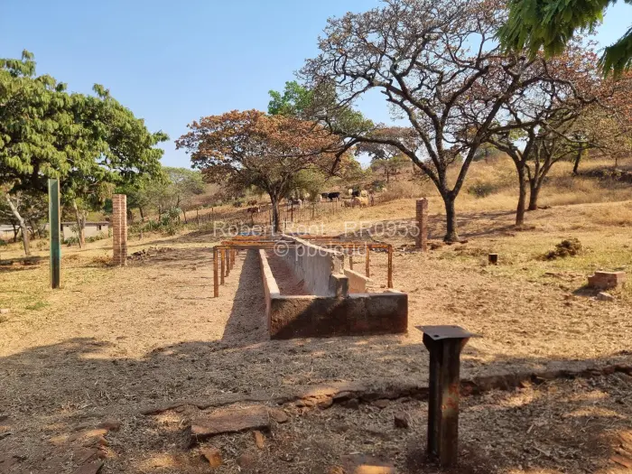 Residential Stand for Sale in Glen Forest, Harare