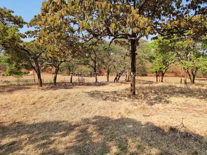 Residential Stand for Sale in Glen Forest, Harare