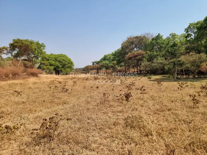 Residential Stand for Sale in Glen Forest, Harare