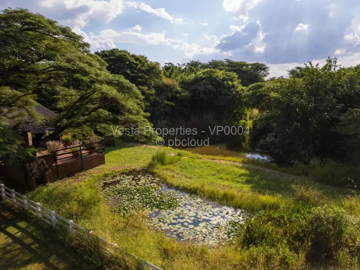 Residential Stand for Sale in Borrowdale, Harare
