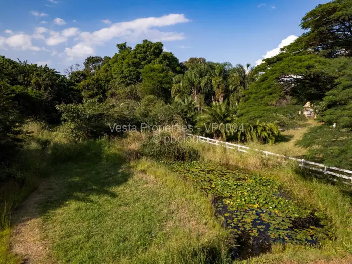 Residential Stand for Sale in Borrowdale, Harare