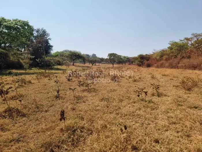 Residential Stand for Sale in Glen Forest, Harare