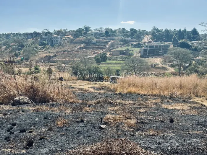 Residential Stand for Sale in Borrowdale, Harare