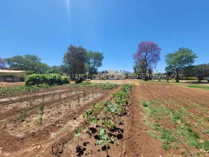 3 Bedroom House for Sale in Bellevue, Bulawayo