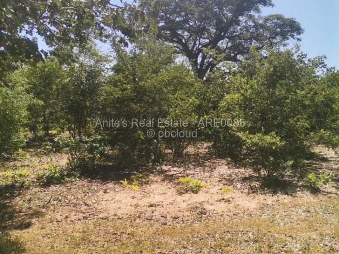 Residential Stand for Sale in Hwange, Hwange
