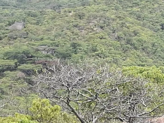 Farm/Plot for Sale in Nyanga, Nyanga