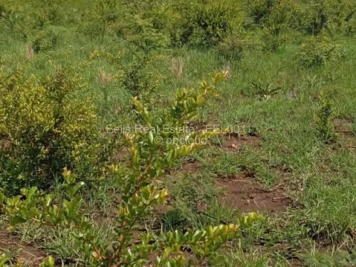 Commercial Stand for Sale in Redcliff, Redcliff