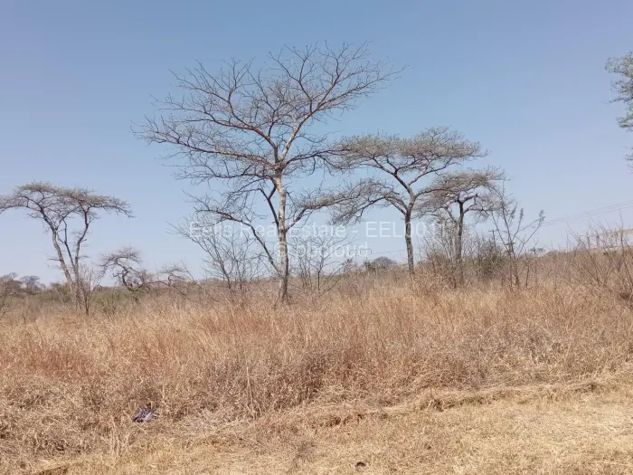 Commercial Stand for Sale in Redcliff, Redcliff