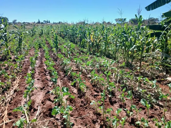 Farm/Plot for Sale in Brackenhurst, Gweru