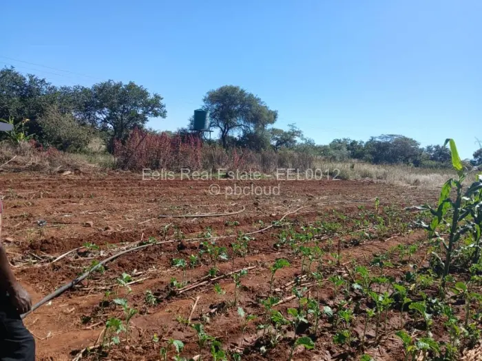 Farm/Plot for Sale in Brackenhurst, Gweru