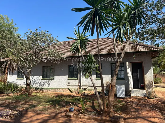 3 Bedroom House to Rent in Meyrick Park