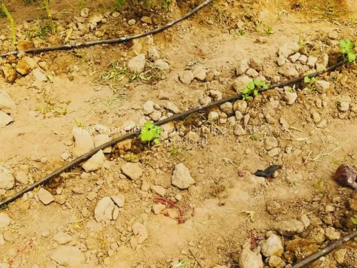 Farm/Plot for Sale in Ngezi, Ngezi