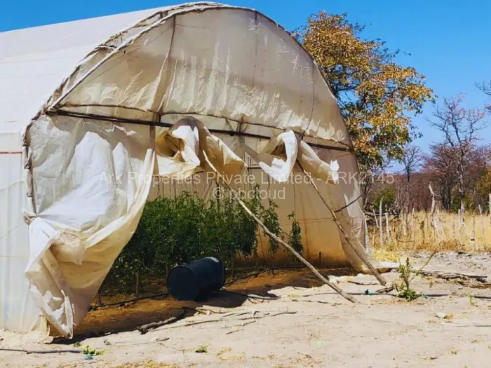 Farm/Plot for Sale in Ngezi, Ngezi