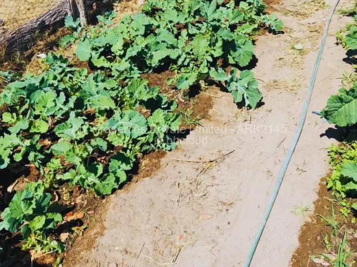 Farm/Plot for Sale in Ngezi, Ngezi