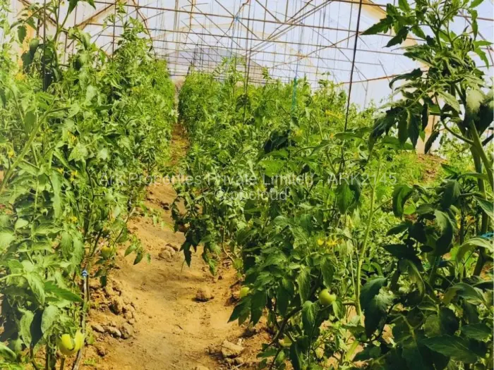 Farm/Plot for Sale in Ngezi, Ngezi