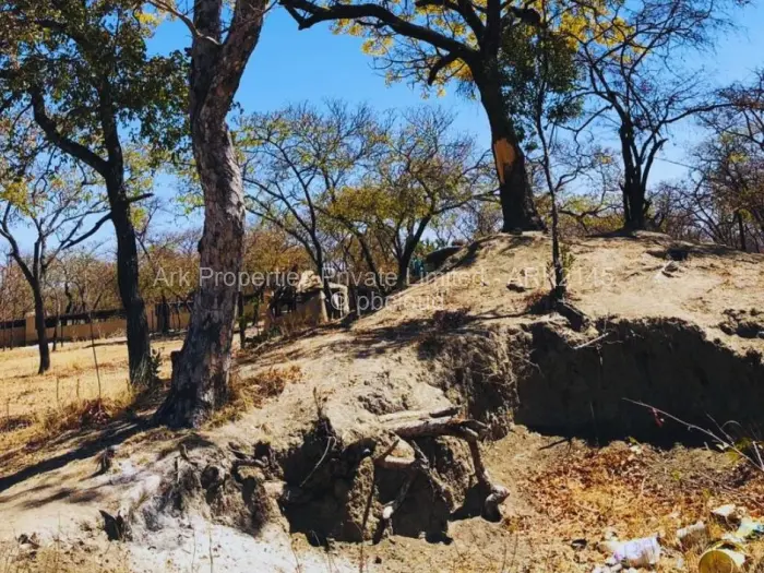 Farm/Plot for Sale in Ngezi, Ngezi