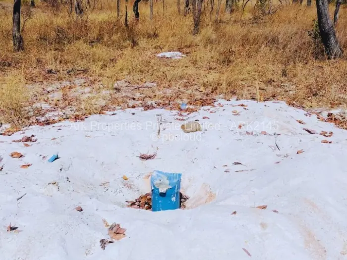 Farm/Plot for Sale in Ngezi, Ngezi