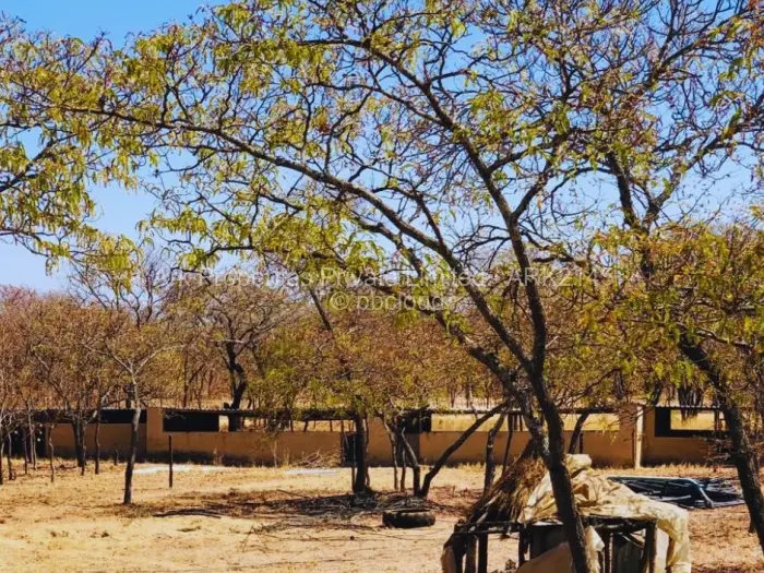 Farm/Plot for Sale in Ngezi, Ngezi